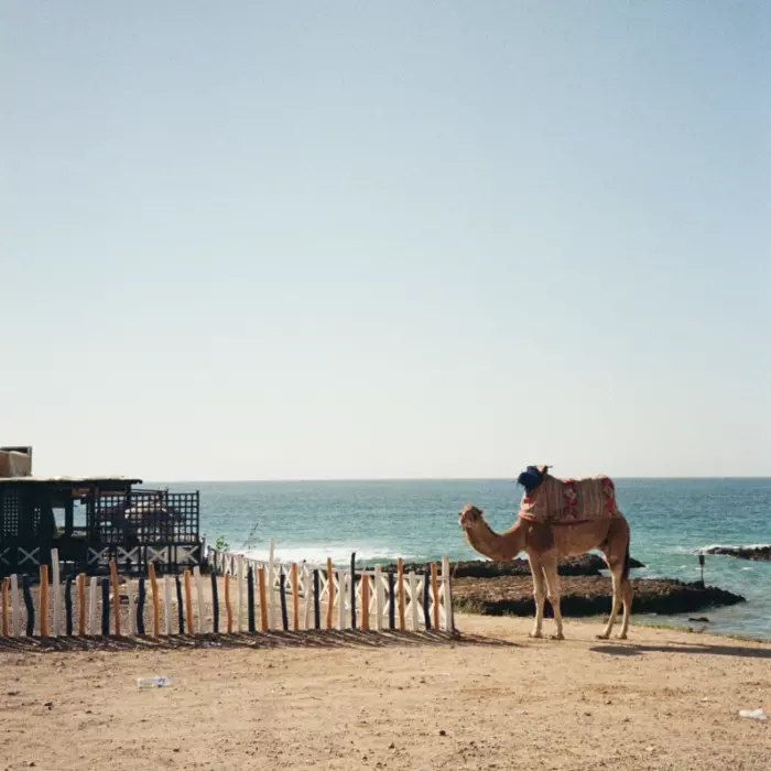 IMG 8663 Morocco Surf Camp in Taghazout & Imsouane | Surf Discovery